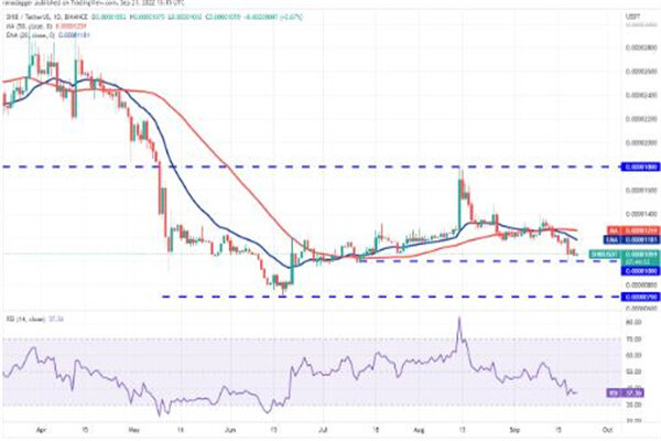 屎币今日最新价格行情 SHIB今日最新消息-第3张图片-芝麻交易所下载